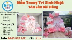 trang-tri-sinh-nhat-lau-dai-don-gian
